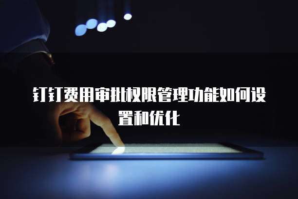 钉钉费用审批权限管理功能如何设置和优化