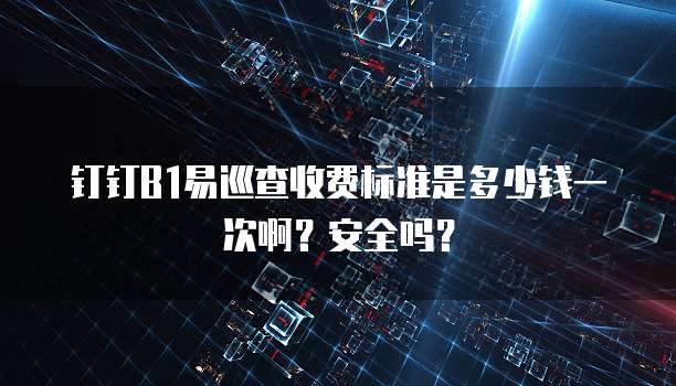 钉钉B1易巡查收费标准是多少钱一次啊?安全吗?