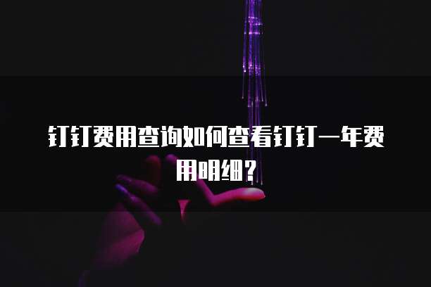 钉钉费用查询如何查看钉钉一年费用明细?