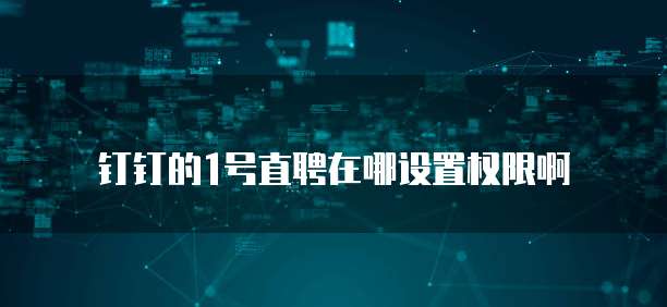 钉钉的1号直聘在哪设置权限啊