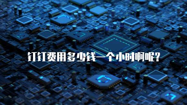 钉钉费用多少钱一个小时啊呢?