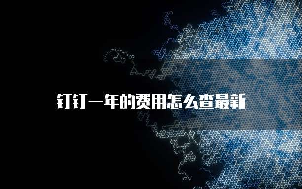 钉钉一年的费用怎么查最新
