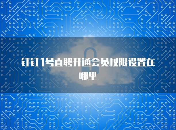 钉钉1号直聘开通会员权限设置在哪里