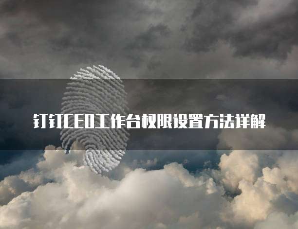 钉钉CEO工作台权限设置方法详解