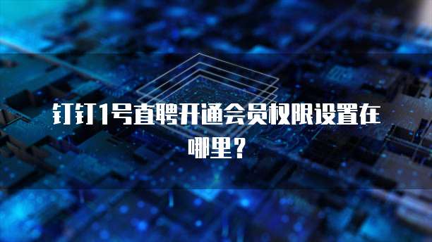 钉钉1号直聘开通会员权限设置在哪里?
