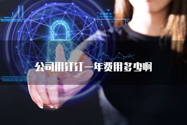 公司用钉钉一年费用多少啊