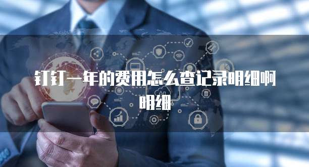 钉钉一年的费用怎么查记录明细啊明细