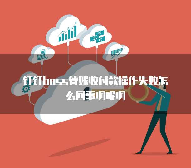 钉钉boss管账收付款操作失败怎么回事啊呢啊