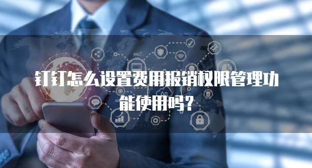 钉钉怎么设置费用报销权限管理功能使用吗?