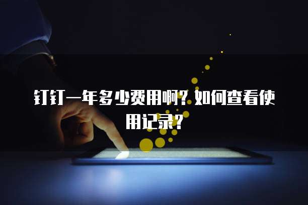 钉钉一年多少费用啊?如何查看使用记录?