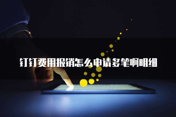 钉钉费用报销怎么申请多笔啊明细