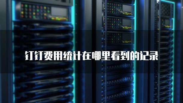 钉钉费用统计在哪里看到的记录