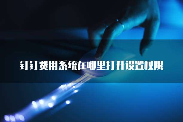 钉钉费用系统在哪里打开设置权限