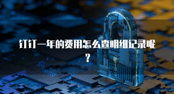 钉钉一年的费用怎么查明细记录呢?
