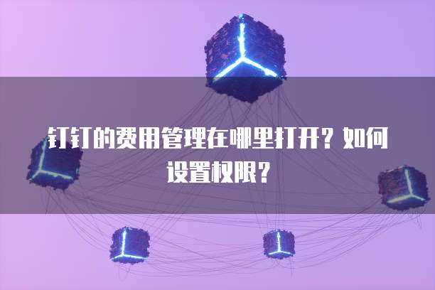 钉钉的费用管理在哪里打开?如何设置权限?