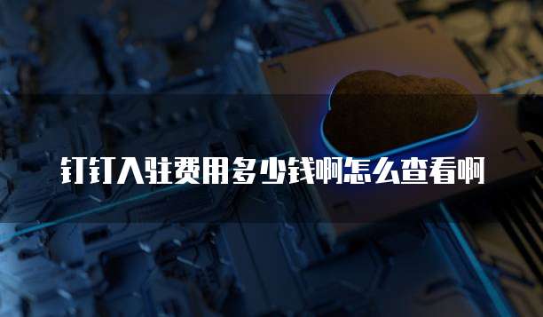 钉钉入驻费用多少钱啊怎么查看啊