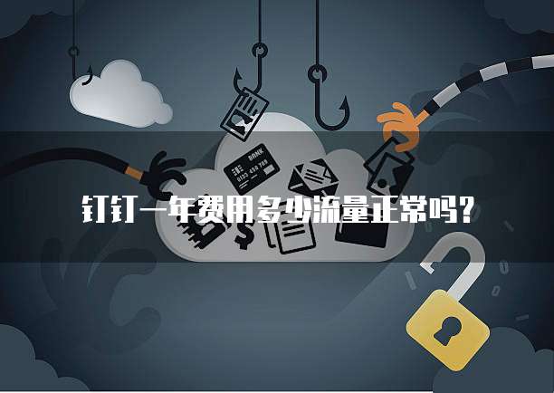 钉钉一年费用多少流量正常吗?