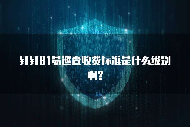钉钉B1易巡查收费标准是什么级别啊?