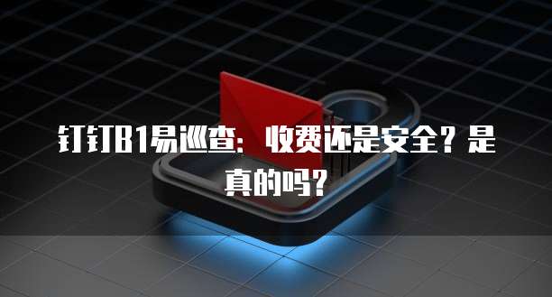 钉钉B1易巡查:收费还是安全?是真的吗?