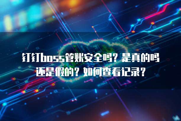 钉钉boss管账安全吗?是真的吗还是假的?如何查看记录?