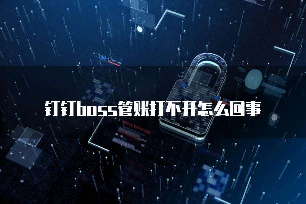 钉钉boss管账打不开怎么回事