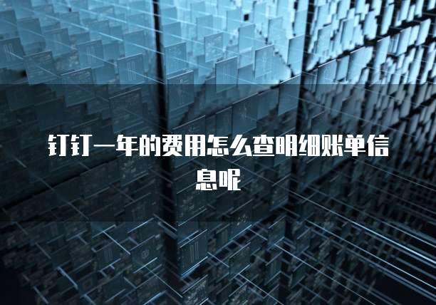 钉钉一年的费用怎么查明细账单信息呢
