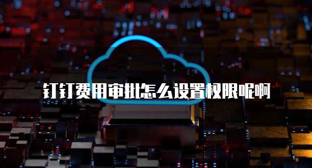 钉钉费用审批怎么设置权限呢啊