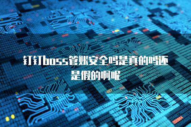 钉钉boss管账安全吗是真的吗还是假的啊呢