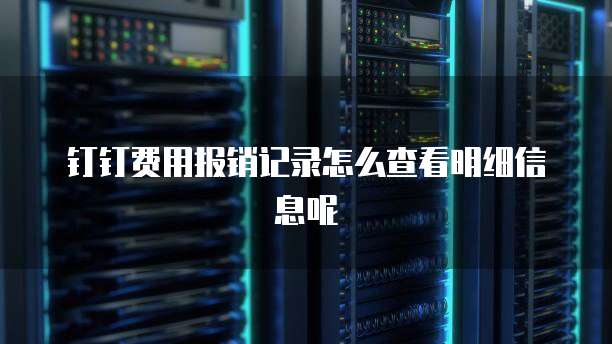 钉钉费用报销记录怎么查看明细信息呢