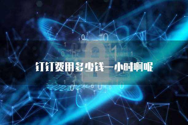 钉钉费用多少钱一小时啊呢