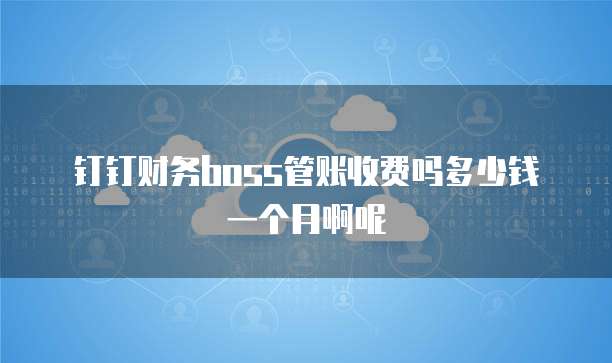 钉钉财务boss管账收费吗多少钱一个月啊呢