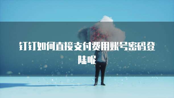 钉钉如何直接支付费用账号密码登陆呢