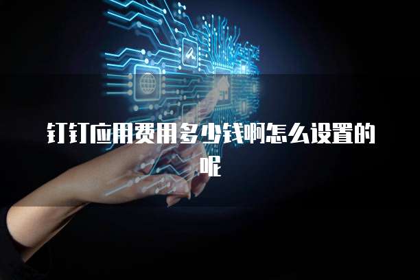 钉钉应用费用多少钱啊怎么设置的呢