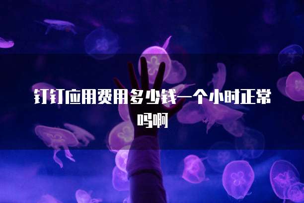 钉钉应用费用多少钱一个小时正常吗啊