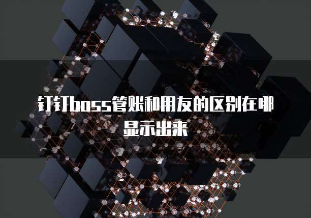 钉钉boss管账和用友的区别在哪显示出来
