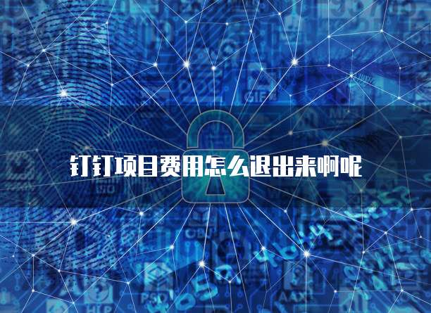 钉钉项目费用怎么退出来啊呢