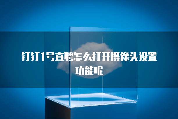 钉钉1号直聘怎么打开摄像头设置功能呢