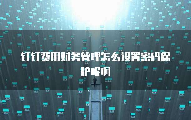 钉钉费用财务管理怎么设置密码保护呢啊