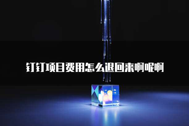 钉钉项目费用怎么退回来啊呢啊