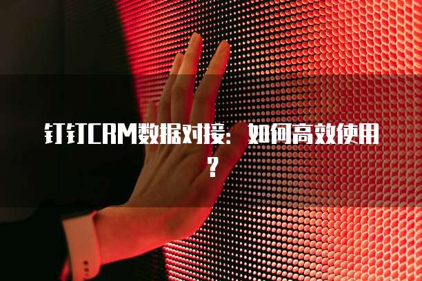 钉钉CRM数据对接：如何高效使用？