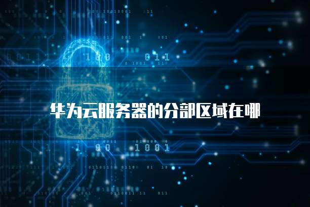 钉钉维护费用准每月多少钱？