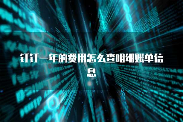 钉钉一年的费用怎么查明细账单信息