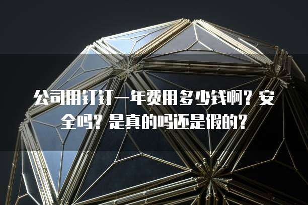 公司用钉钉一年费用多少钱啊?安全吗?是真的吗还是假的?