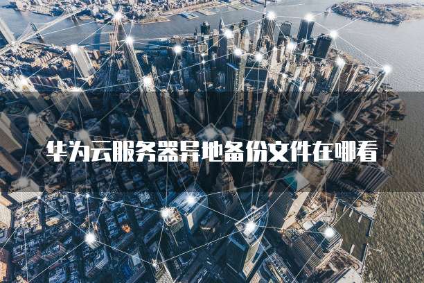 阿里云服务器的IP是如何实现的
