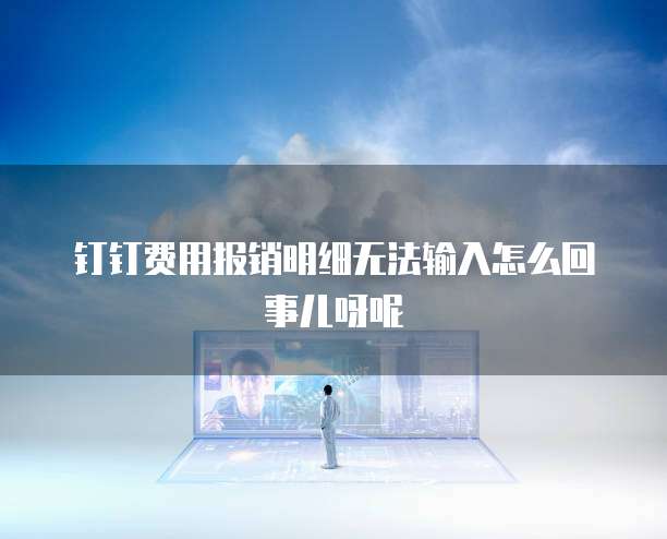 钉钉费用报销明细无法输入怎么回事儿呀呢