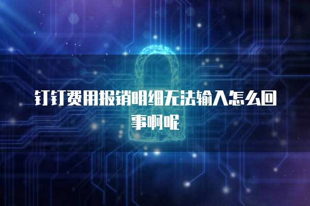 钉钉费用报销明细无法输入怎么回事啊呢