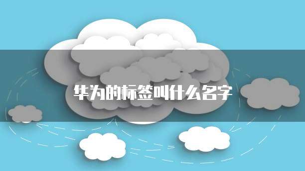 钉钉番茄表单怎么看报名信息明细