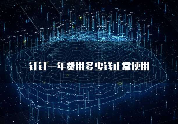 钉钉一年费用多少钱正常使用