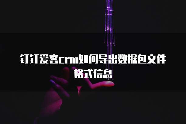 钉钉爱客crm如何导出数据包文件格式信息