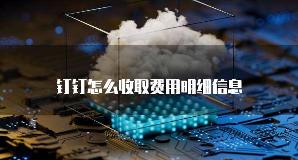 钉钉怎么收取费用明细信息